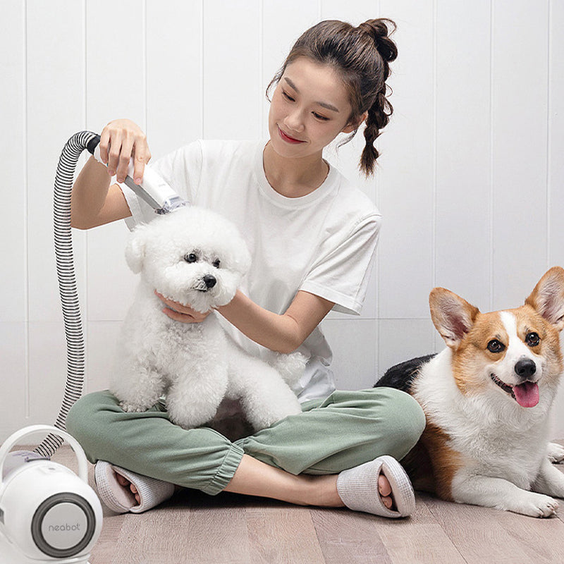 All-in-One Pet Grooming Device: Comb, Shave, and Beautify Your Furry Friend!