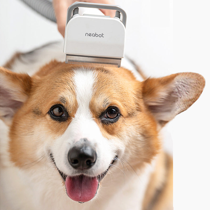 All-in-One Pet Grooming Device: Comb, Shave, and Beautify Your Furry Friend!